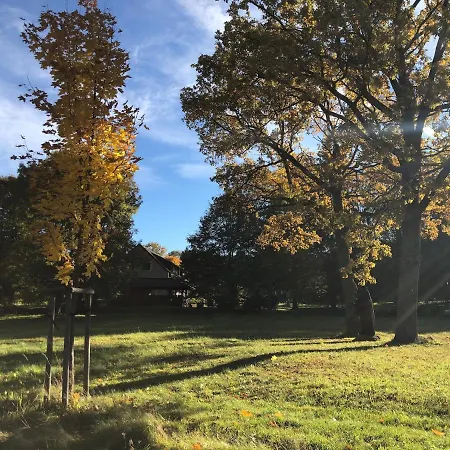 Fox Апартаменты